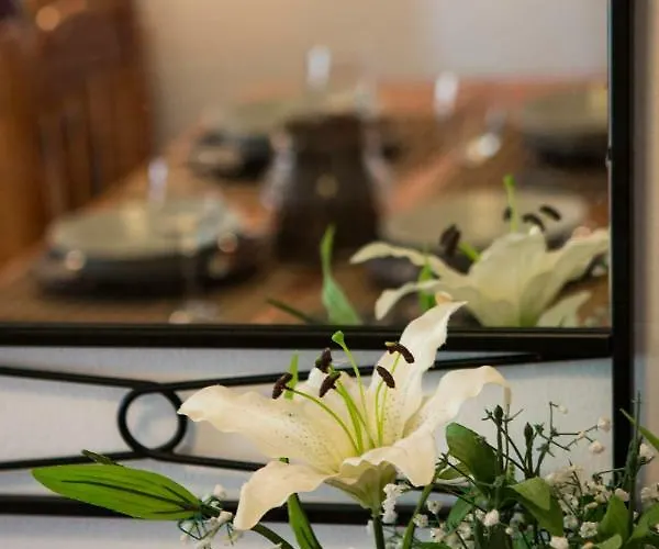 Tropical Guest house *