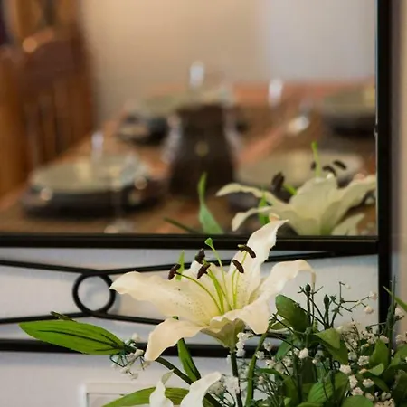 Tropical Guest house *